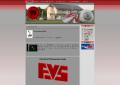 www.fussballverein-sulzfeld.de
