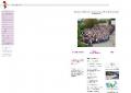 www.gustav-mesmer-realschule.de